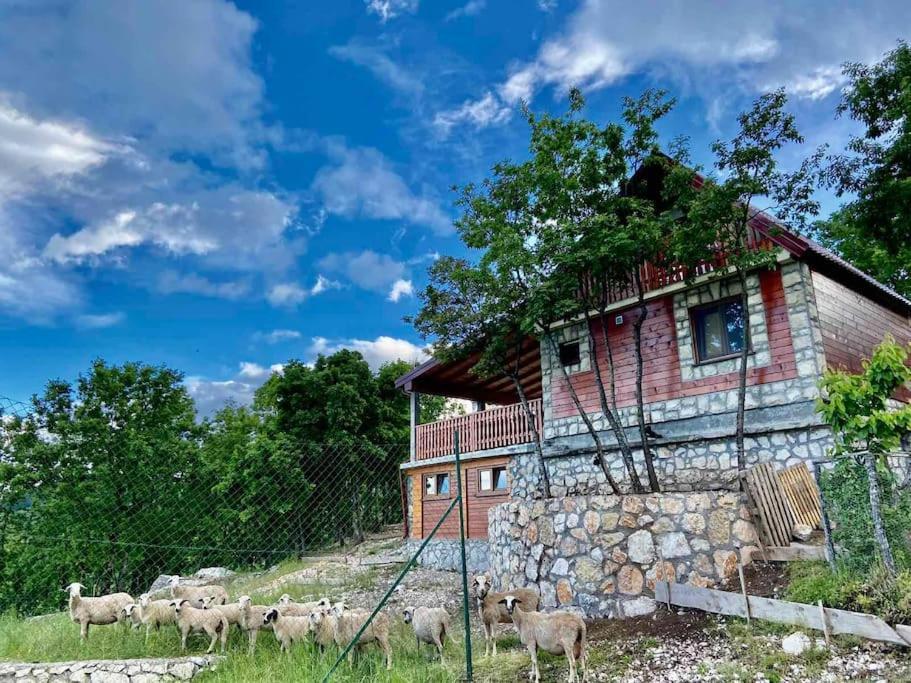 Mountain Village House ツェティニェ エクステリア 写真