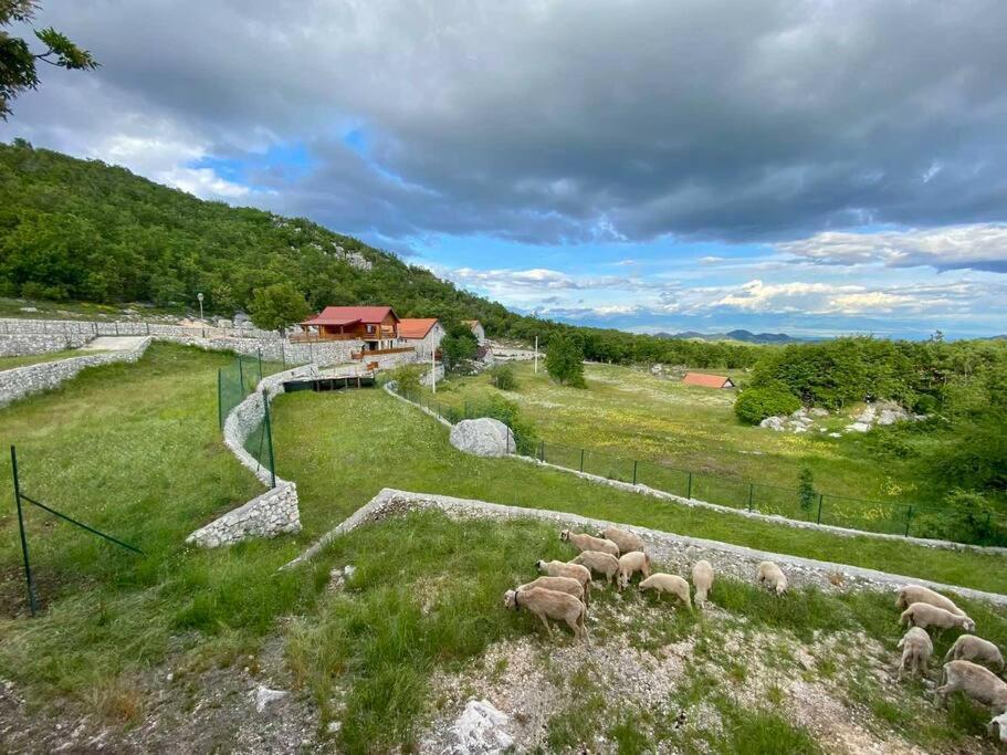 Mountain Village House ツェティニェ エクステリア 写真