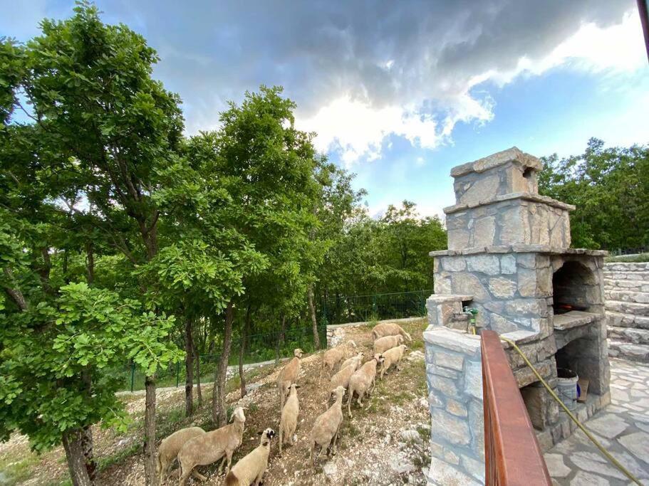 Mountain Village House ツェティニェ エクステリア 写真